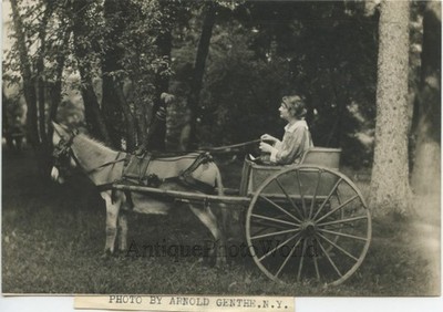 Martha Hedman Schauspielerin auf Eselskutsche antikes Foto von Arnold Genthe