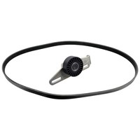 Febi Keilrippenriemensatz Renault 100306