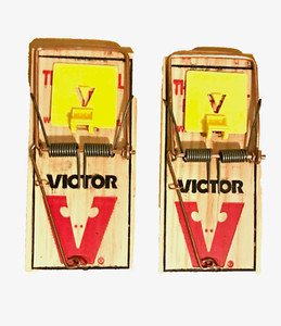 Victor Rat Traps- Pack Of 12 (M326)