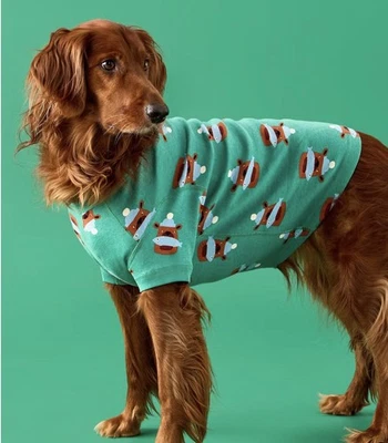 New Hanna Andersson Dog Pajamas Fresh Catch on Bottle Green Bear Fish XS $35 - Image 1 of 4