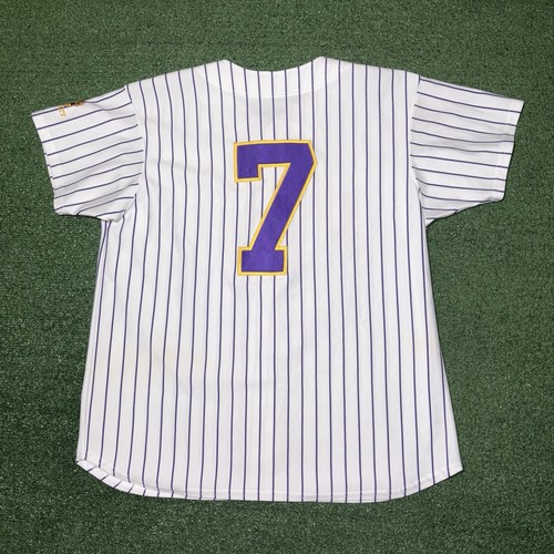 Vintage Lipscomb University Bisons Baseball Game Jersey Stitched Mens Large - Picture 4 of 8