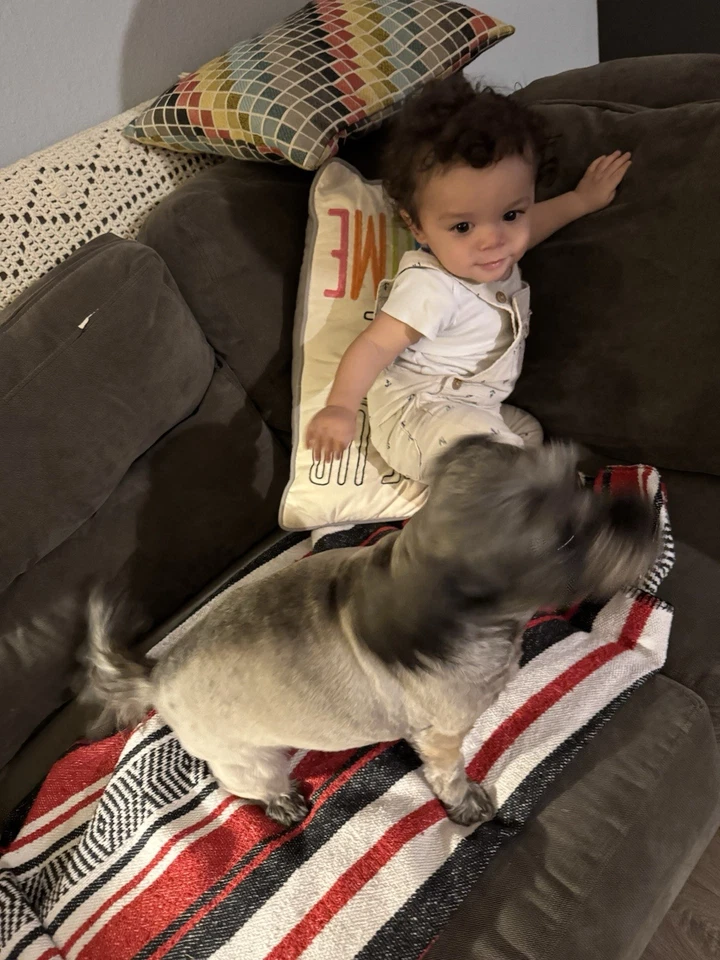 Original Kaiser La Forme Tortenfassung Ring Germany, neu im Karton - Bild 4 von 4