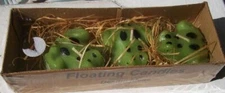FROG FLOATING CANDLES 3 Pack Unopened GREEN/BLACK Design Ideas CUTE