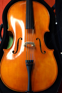 Samuel Eastman Cello 3/4 VC100 With Case