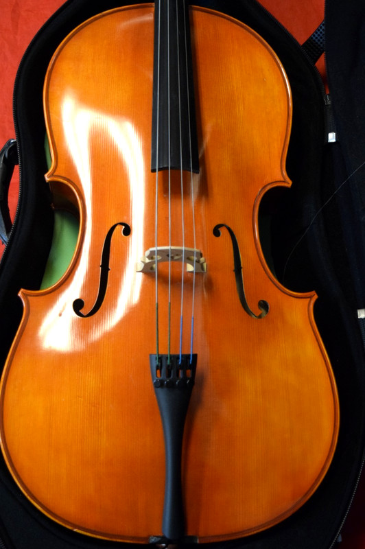 Samuel Eastman Cello 3/4 VC100 With Case