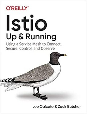 Istio: up and Running : Using a Service Mesh to Connect, Secure,