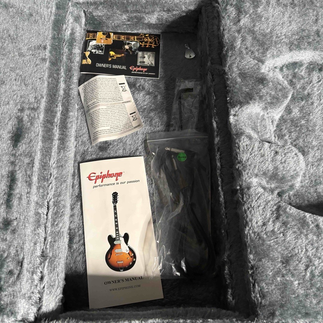 Epiphone Zv Zakk Wylde Custom Black Hc | eBay