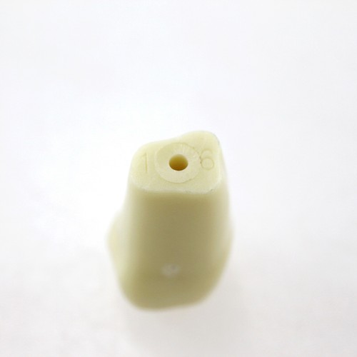 Dental Replacement Teeth For Frasaco AG3 Typodont 1# 6# Practice Tooth M8014-2 - Picture 4 of 11