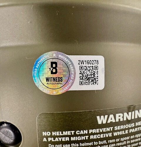 Troy Polamalu Signed Steelers F/S Salute Speed Authentic Helmet - Beckett W Holo - Image 3 of 4