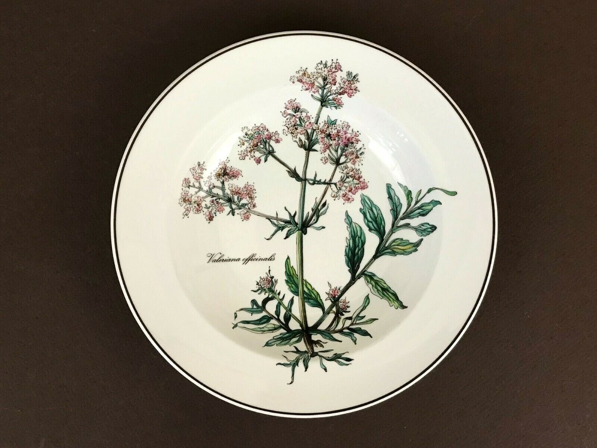 Villeroy Boch Botanica Soup Bowl Salad Dinner Plate Cake Plate