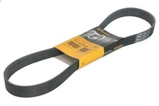 Keilrippenriemen CONTITECH 7PK994 EXTRA für KONA (OS, OSE, OSI) 1.6 2019-2023