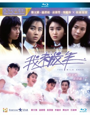 Olivia Cheng THE WILD ONES Rachel Lee Irene Wan Hong Kong Classic Drama Blu Ray