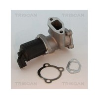 Agr-Ventil Triscan 8813 10003 FüR Alfa Romeo Fiat Lancia Opel Vauxhall Hitachi