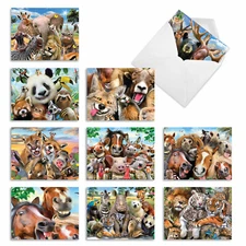 10 Assorted Thank You Note Cards Pack - Here'S Looking At Zoo