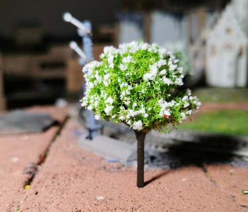 20 White Flowering Trees, 60mm Tall - Picture 4 of 12
