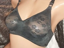 VTG SILKY COUETTE FLOWERS SHEER OPAQUE WARNERS LUXURY BRA SHINY PIN UP 34C WOW