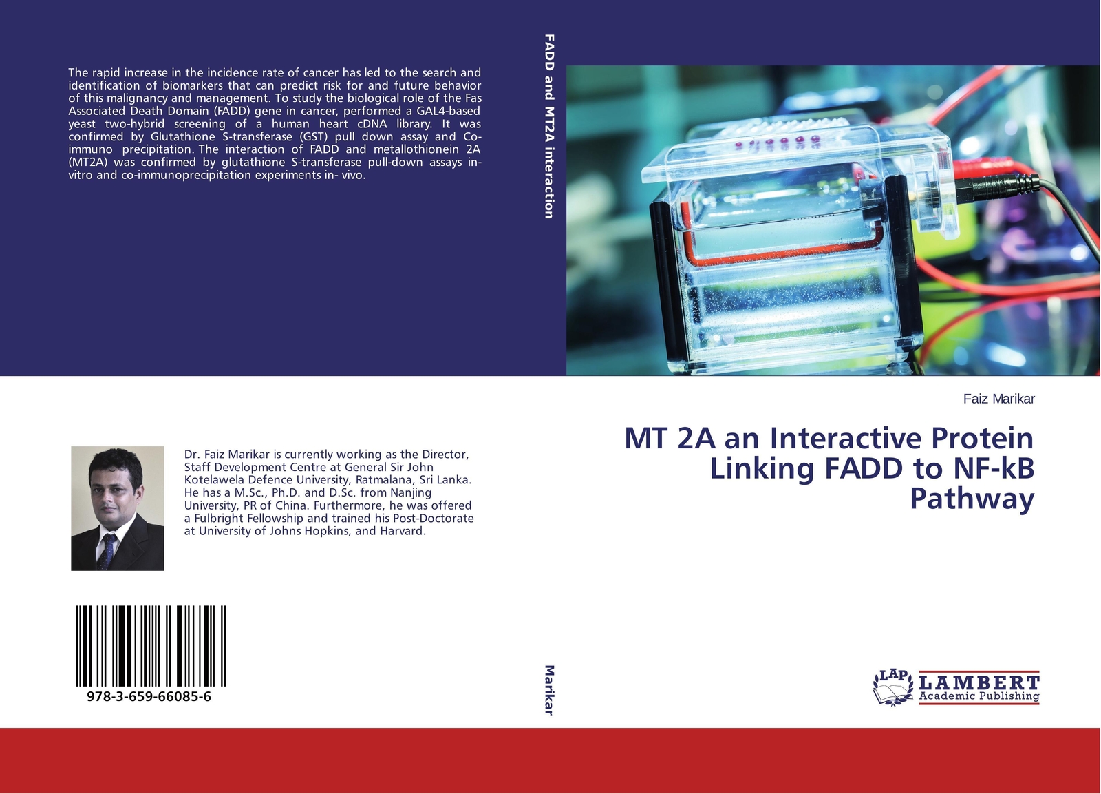 Faiz Marikar | Mt 2a An Interactive Protein Linking Fadd To Nf-kb