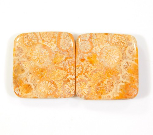 Par de piedras preciosas fosilizadas cabujón radiante coral fósil natural de 24 quilates DH = 397 - Imagen 2 de 6