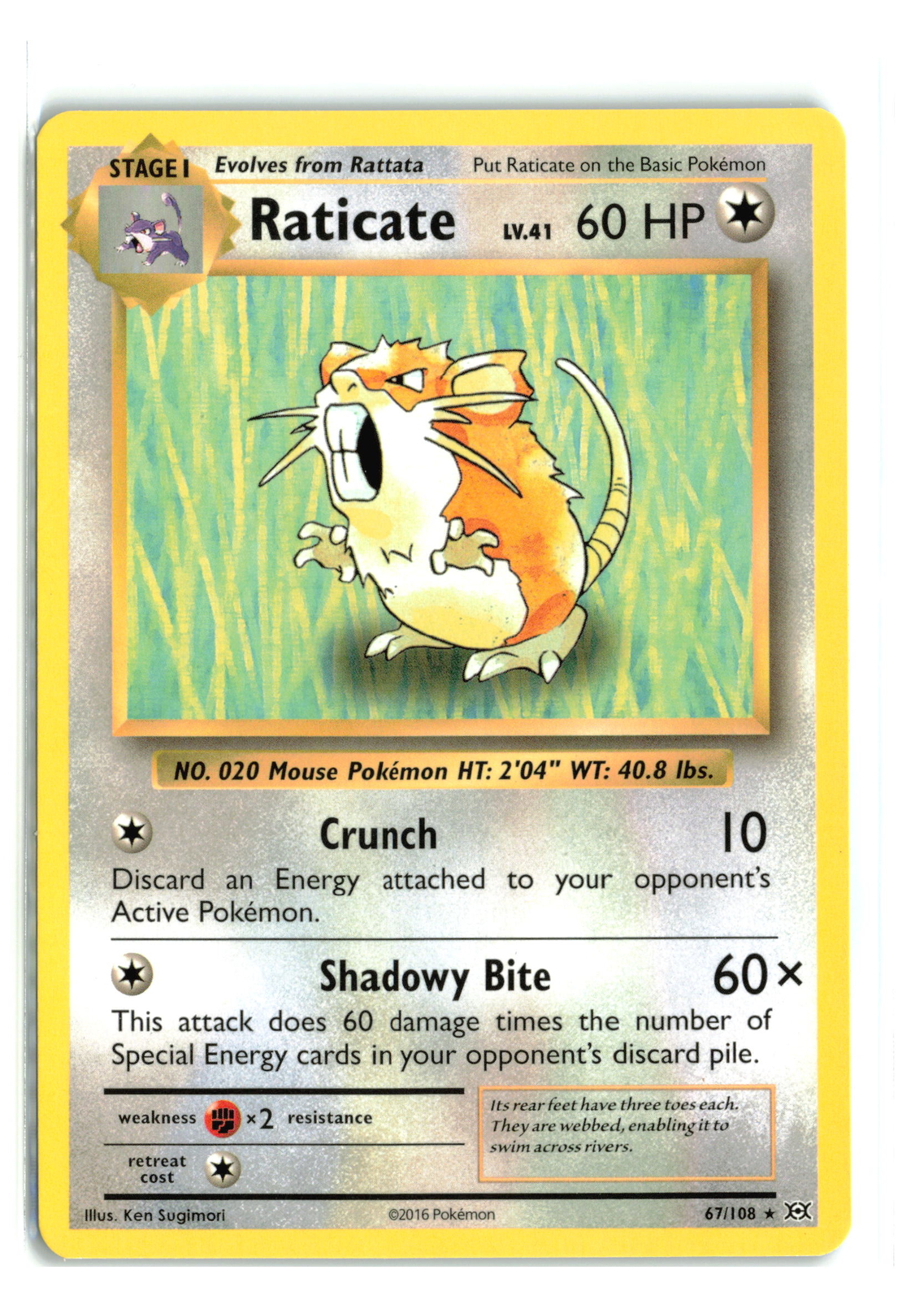 RATICATE 67/108 XY EVOLUTIONS NON HOLO RARE POKEMON TCG NM