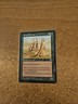MAGIC THE GATHERING MIRAGE UNCOMMON KAROO MEERKAT LIGHTLY PLAYED