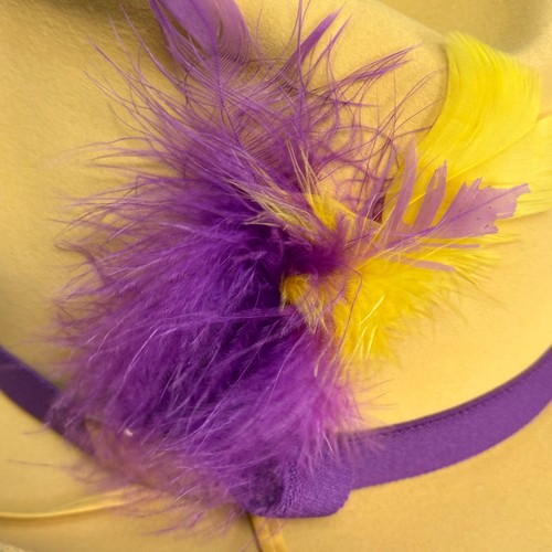 Cappello da cowboy vintage Resistol 5X CASTORO Western in piuma con scatola, giallo, 7 1/8 - Foto 5 di 18
