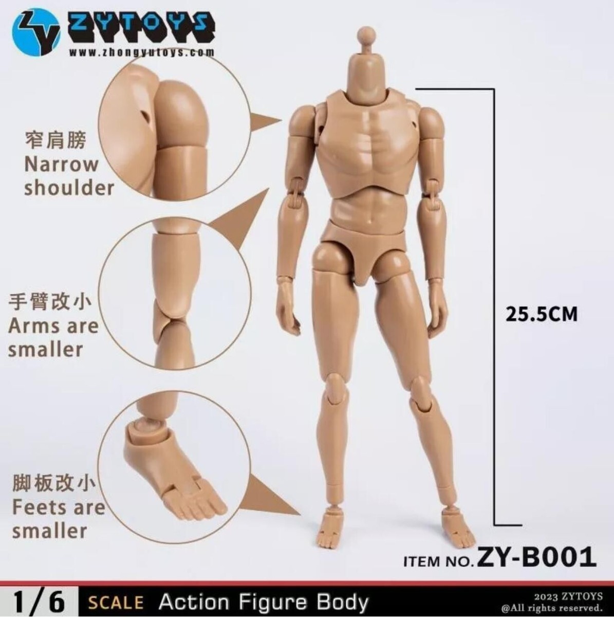 1/6 scale Male Body Narrow Shoulder Figure as hot toys TTM18 TTM19