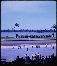 Horse Race Track Gulfstream Park Florida - 1950s Stereo Realist Slide #969