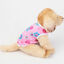 thumbnail 34  - Pet Dog Clothes T-shirt Puppy Cat Costume French bulldog Chihuahua Apparel Coat