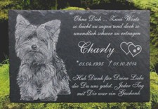 Yorkshire Terrier Tiergrabstein Grabstein Schiefer  Textgravur Yorki Hund
