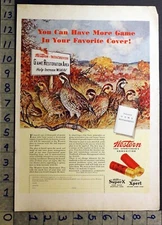 1936 SPORT HUNT GAME BIRD QUAIL PARTRIDGE WESTERN XPERT AMMO EAST ALTON AD 31381