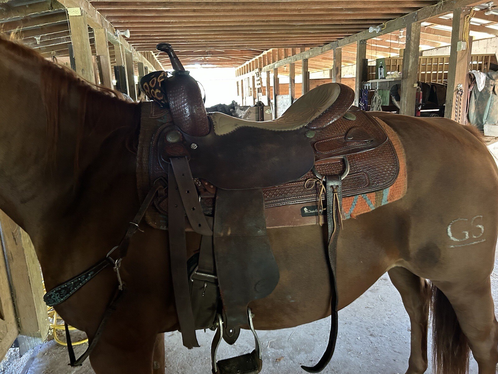 18” Caldwell Cutting Saddle eBay