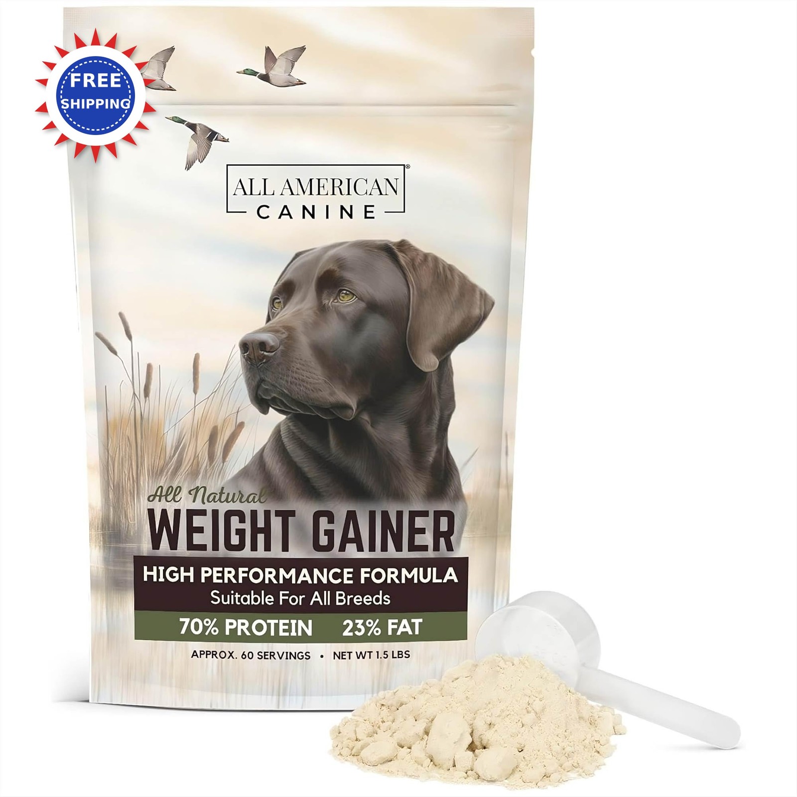 Supplement & Protein
