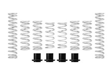 Eibach PRO-UTV Stage 3 Spring Kit E85-40-050-03-22 Honda Talon 1000X-4 New