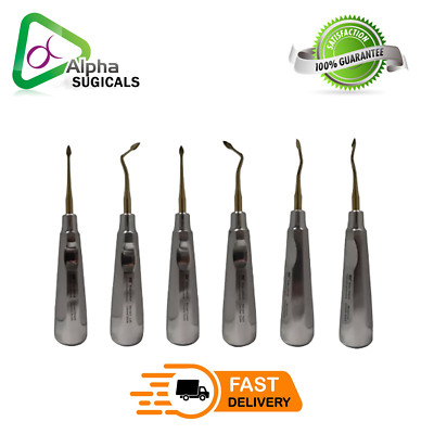 Dental Elevator Bernard Surgical Extraction Spade Elevator Set of 6 good quality