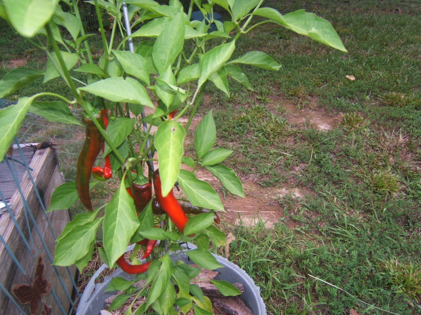 Picture 3 of 3