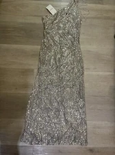 Champagne(Beige background with Silver Sequins)Brand New with tags Evening Dress