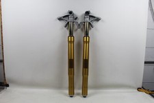 Ducati Panigale 1299S 1299 1199 Ohlins Front ...