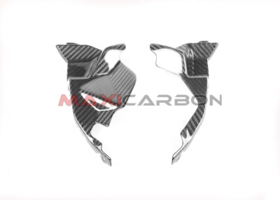 BMW S 1000 R (Post-2021) Carbon Innenseitenschweller / Internal Side Pane