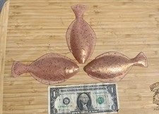 Boogey Man Bait Co. 6” Sand Dab Halibut, Lingcod, Rockfish, Sea Bass UV Glow 3pk