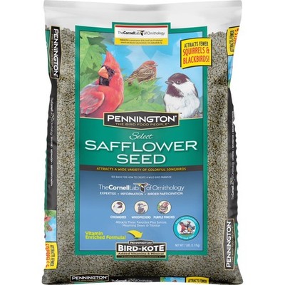 Wild Bird Food Safflower Seed 7 lb Bag Dry Bird Feed for Wild Birds