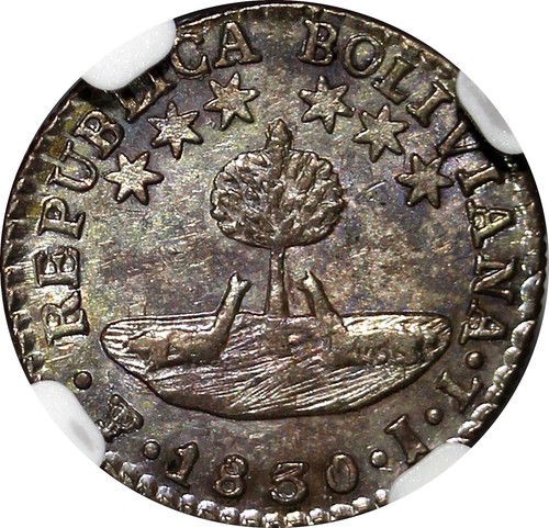 Bolivia Silver 1830 PTS JL 1/2 Sol NGC MS63 6 Stars 1 YEAR TYPE KM# 93.2a (037) - Picture 4 of 5