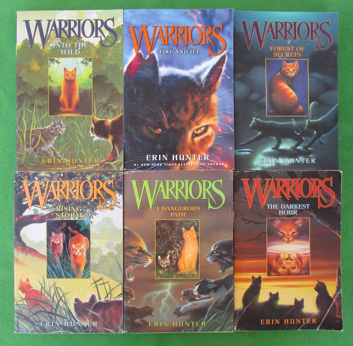 warrior cats into the wild poster the flowers the medicine cats