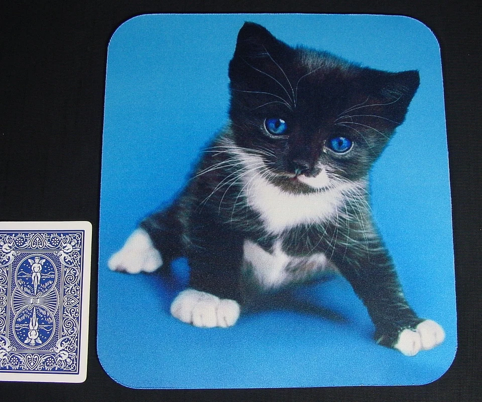 Mouse Pad Kitten "Wouldn't You Rather Hold Me Than Your Mouse?" Non-slip Large - Image 2 of 2