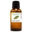 thumbnail 28 - Essential Oils - 30 mL (1 oz) - 100% Pure Therapeutic Grade Oil - 60+ Options!