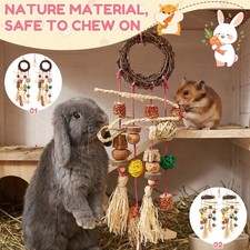 2 Pcs Rabbit Chew Toy Hanging Bunny Chew Toy for Guinea Pig Chinchilla xivTI