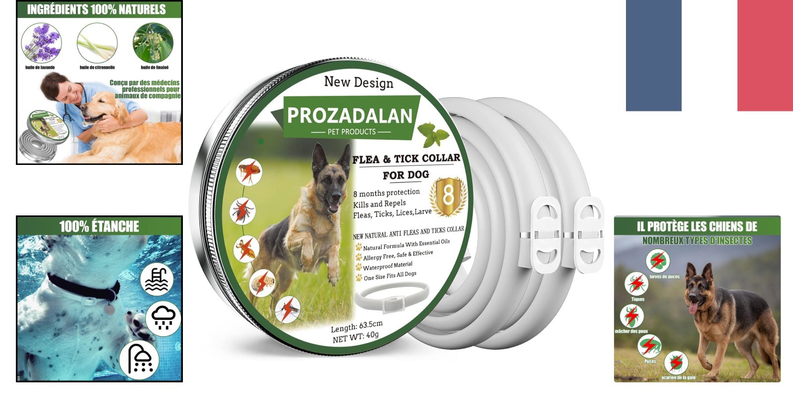 Collier antiparasitaire chien randonnée et balades en forêt
