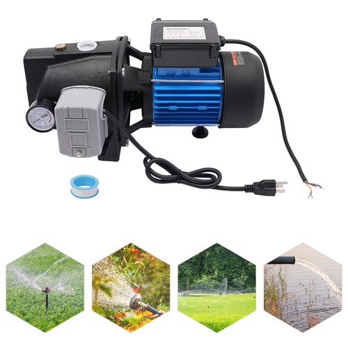 0.75HP Water Pump W/ Pressure Switch Well Pump For Farm Irrigation 1" Diameter - 第 1/14 張圖片