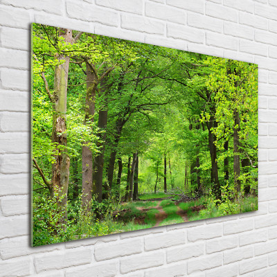 Glas-Bild Wandbilder Druck auf Glas 100x70 Deko Landschaften Frühlingswald