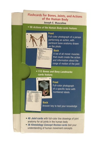 Flashcards for Bones Joints and Actions of the Human Body by Joseph Muscolino - Picture 5 of 5
