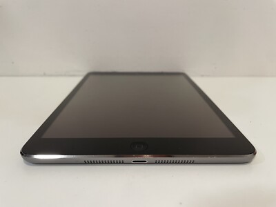 iPad本体 #695 iPad mini 2 16GB 249652-tablets-apple-